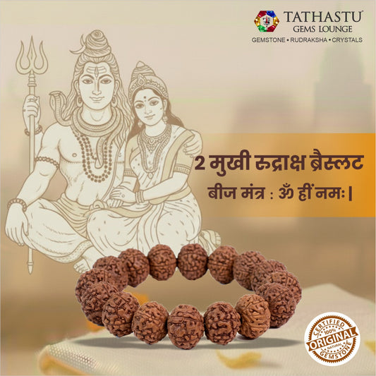 Original 2 Mukhi Rudraksha Braclet | Abhimantrit