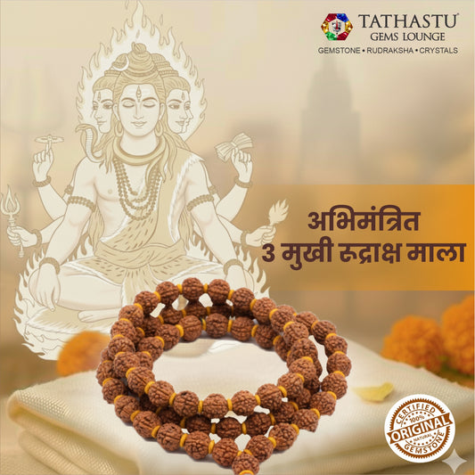 Original 3 Mukhi Rudraksha Mala | Abhimantrit