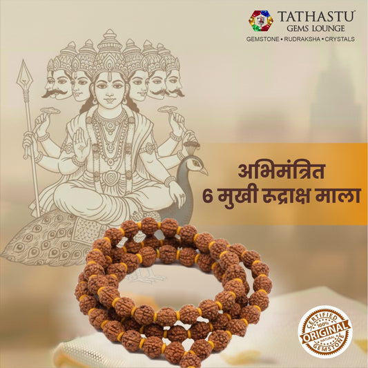 Original 6 Mukhi Rudraksha Mala | Abhimantrit