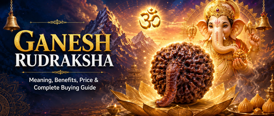 Ganesh Rudraksha: Meaning, Benefits, Wearing Rules, Price & Complete Buying Guide