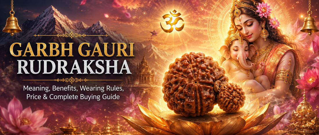Garbh Gauri Rudraksha: Meaning, Benefits, Wearing Rules & Complete Buying Guide