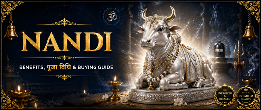 Parad Nandi: Meaning, Benefits, Placement Rules, Worship Method, Price & Complete Buying Guide