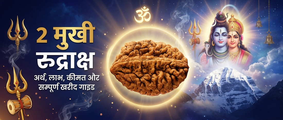 2 मुखी रुद्राक्ष: अर्थ, लाभ, पहनने की विधि, कीमत और सम्पूर्ण खरीद गाइड