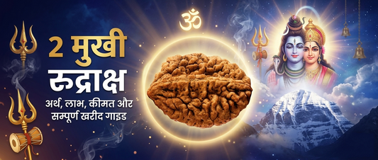 2 मुखी रुद्राक्ष: अर्थ, लाभ, पहनने की विधि, कीमत और सम्पूर्ण खरीद गाइड