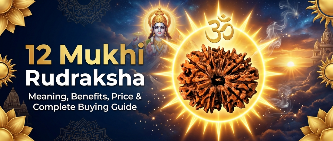 12 Mukhi Rudraksha: Meaning, Benefits, Wearing Rules, Price & Complete Buying Guide