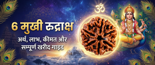 6 Mukhi Rudraksha: Meaning, Benefits, Wearing Rules & Complete Buying Guide
