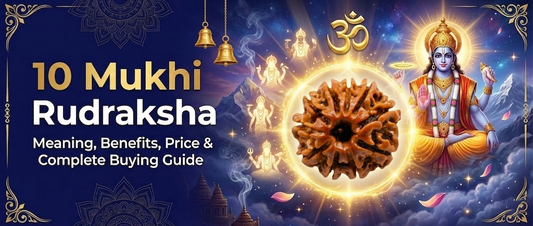 10 Mukhi Rudraksha: Meaning, Benefits, Wearing Rules & Complete Buying Guide