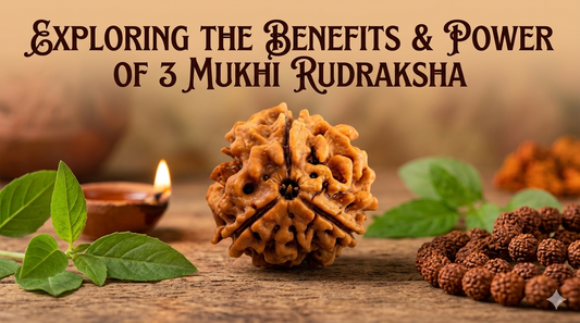 3 Mukhi Rudraksh Benefits
