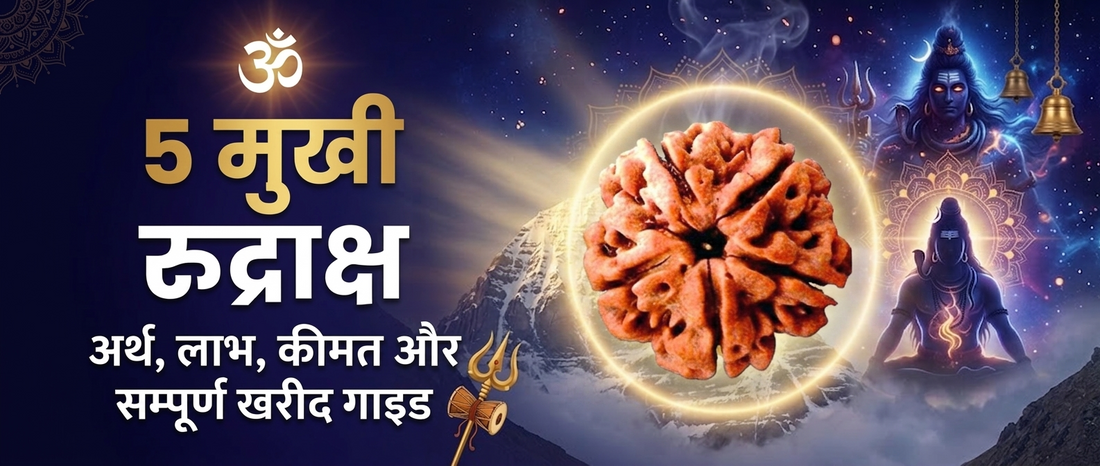 5 Mukhi Rudraksha: Meaning, Benefits, Wearing Rules & Complete Buying Guide