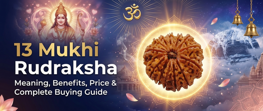 13 Mukhi Rudraksha: Meaning, Benefits, Wearing Rules, Price & Complete Buying Guide