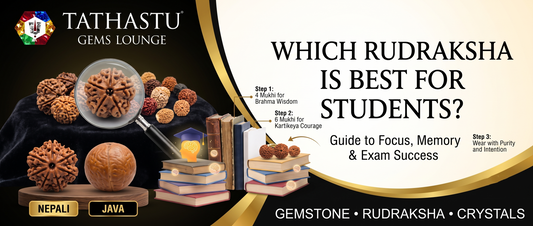 Best Rudraksha bead for students - concentration and success guide
