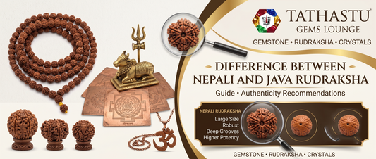 Difference between Nepali and Java Rudraksha beads - comparison guide