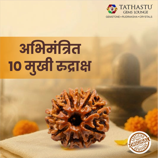 Original 10 Mukhi Rudraksha  |  Nepali Abhimantrit