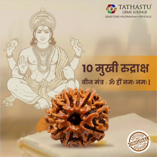 Original 10 Mukhi Rudraksha  |  Nepali Abhimantrit