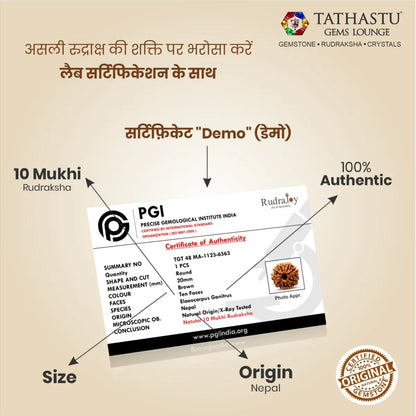 Abhimantrit Original 10 Mukhi Rudraksha bead at Tathastu Gems Lounge with 100% authentic lab test certification report.