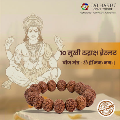 Original 10 Mukhi Rudraksha Braclet |  Abhimantrit