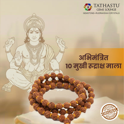 Original 10 Mukhi Rudraksha Mala | Abhimantrit