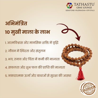 Original 10 Mukhi Rudraksha Mala | Abhimantrit