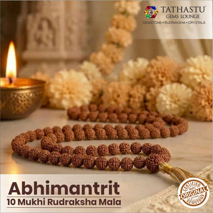 Original 10 Mukhi Rudraksha Mala | Abhimantrit