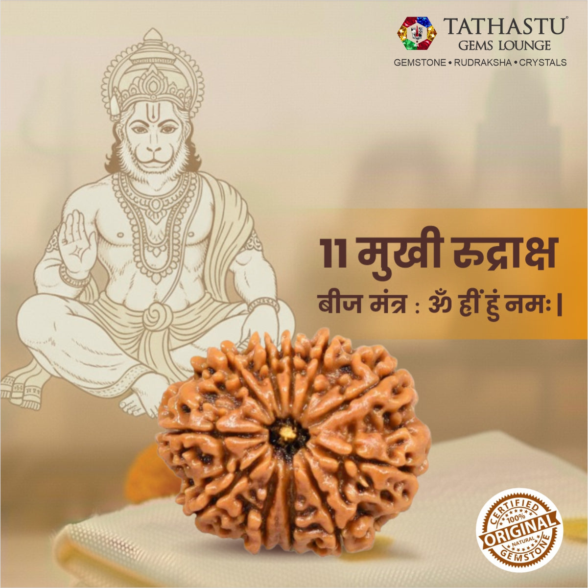 Original 11 Mukhi Rudraksha  |  Nepali Abhimantrit