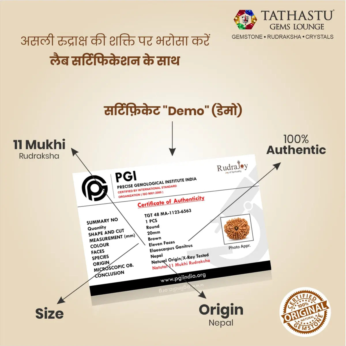 Lab Certificate - Original 11 Mukhi Rudraksha  |  Nepali Abhimantrit