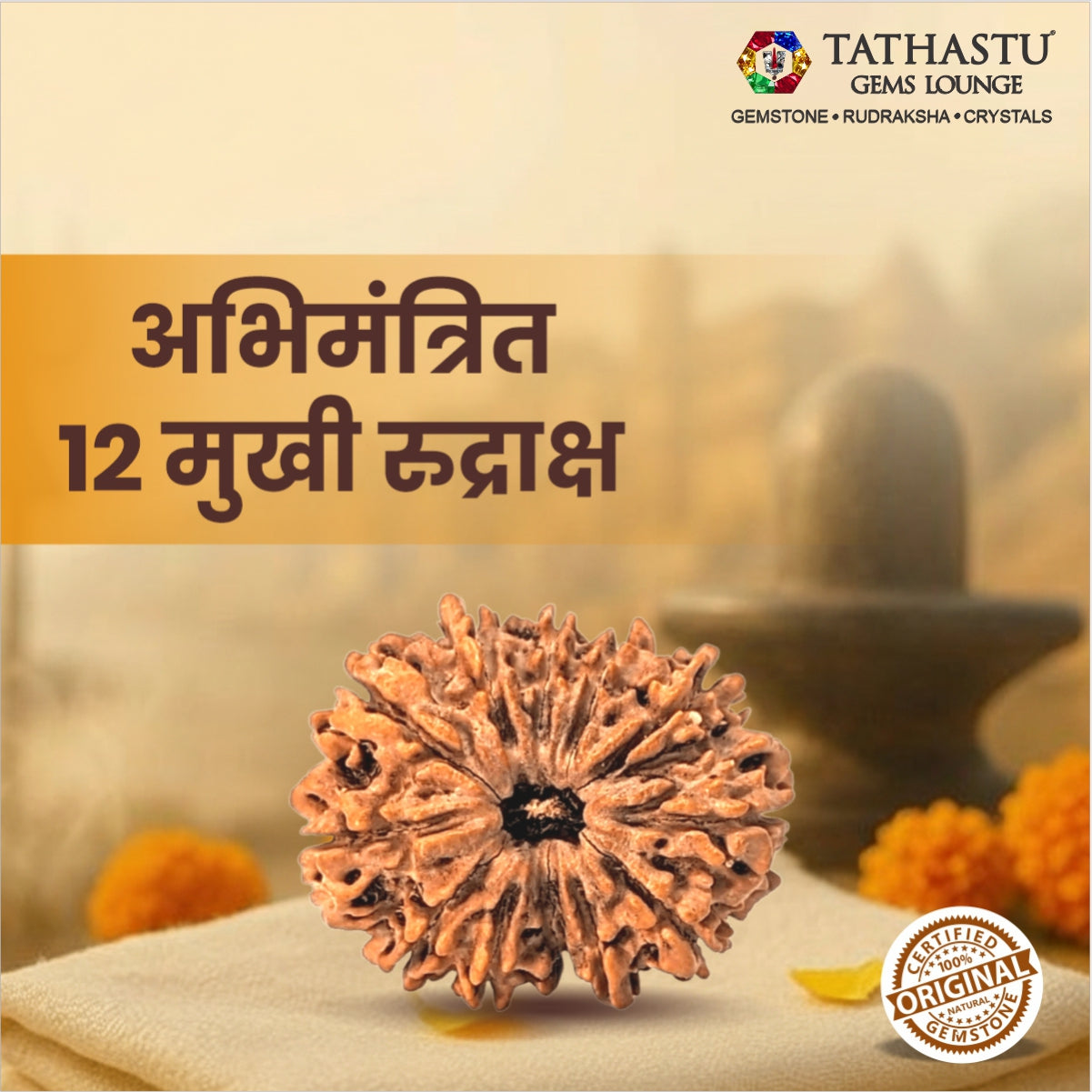 Original 12 Mukhi Rudraksha  |  Nepali Abhimantrit