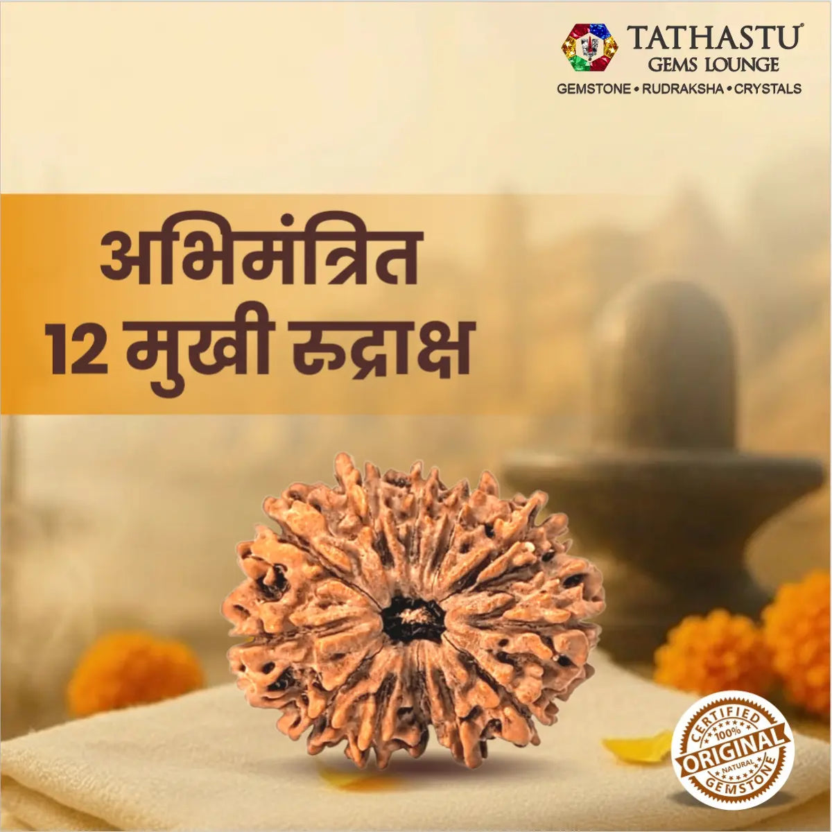 Abhimantrit Original 12 Mukhi Rudraksha bead at Tathastu Gems Lounge displayed with spiritual background and logo.