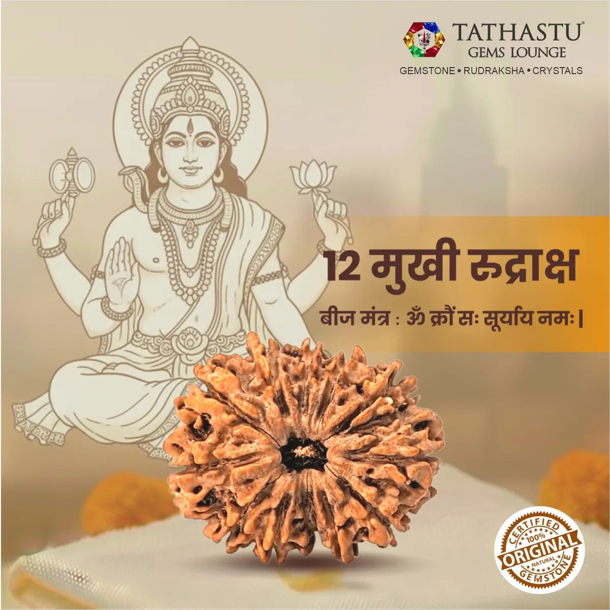 Abhimantrit Original 12 Mukhi Rudraksha bead at Tathastu Gems Lounge featuring Lord Surya (Sun God) illustration and mantra details for radiance and leadership.