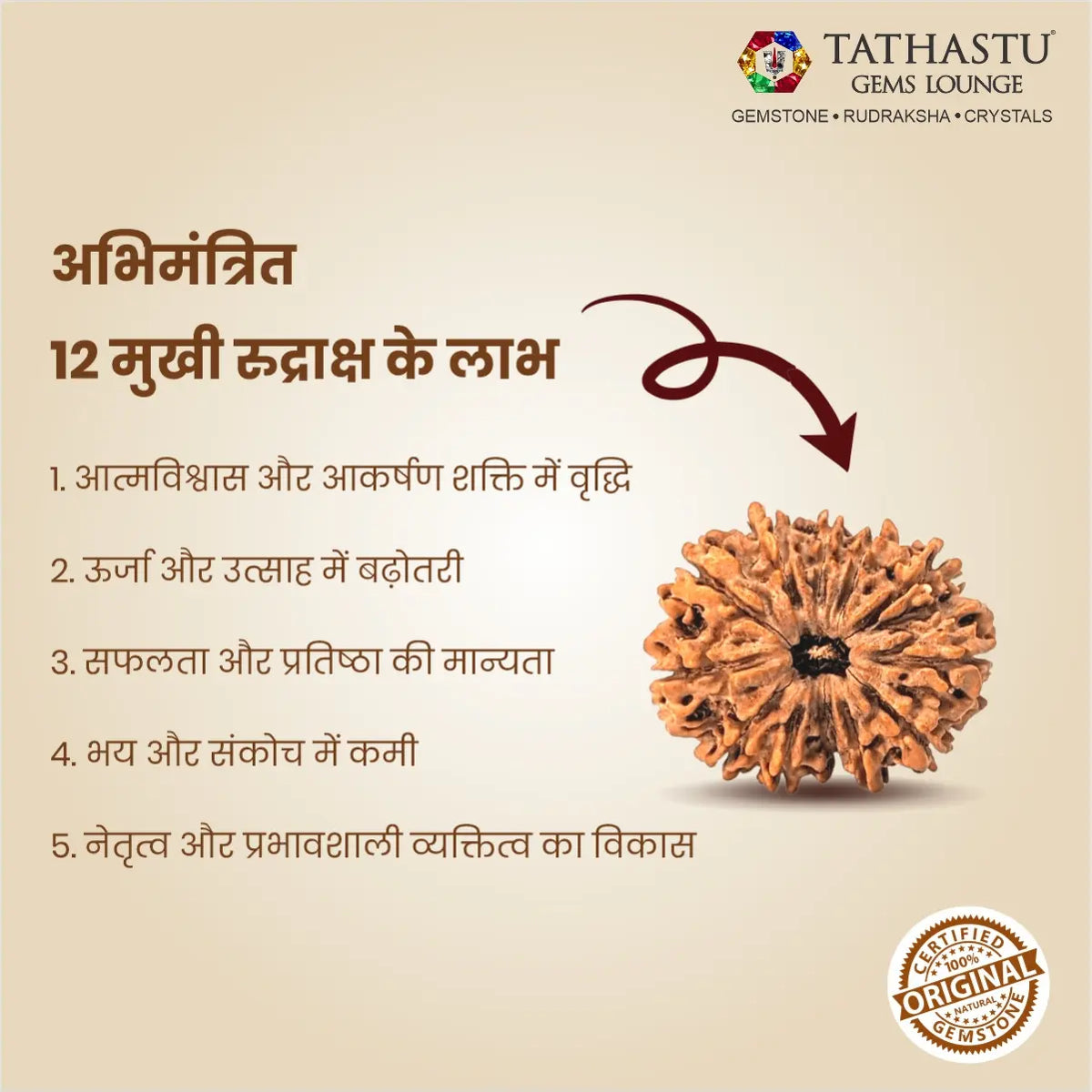 Abhimantrit Original 12 Mukhi Rudraksha bead at Tathastu Gems Lounge showing key benefits for leadership, confidence, vitality, and aura in Hindi.