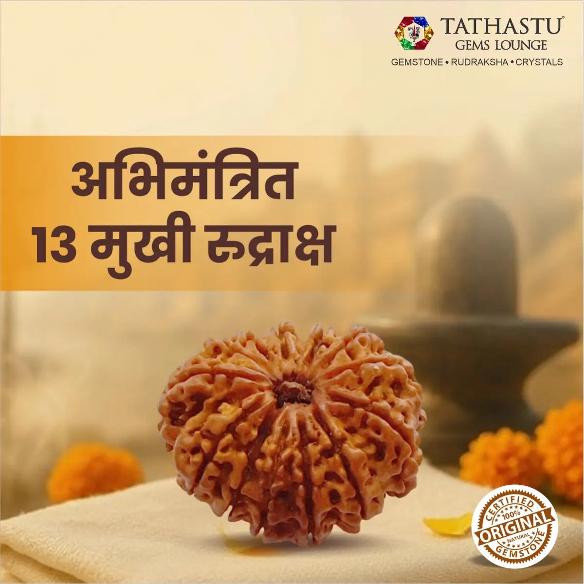 Abhimantrit Original 13 Mukhi Rudraksha bead at Tathastu Gems Lounge displayed with spiritual background and logo.