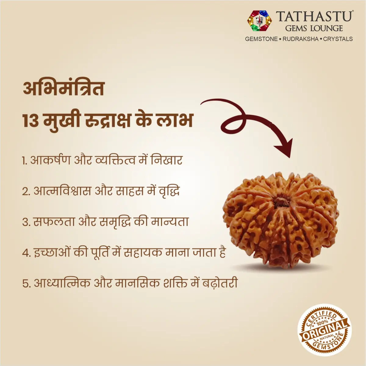 Abhimantrit Original 13 Mukhi Rudraksha bead at Tathastu Gems Lounge showing key benefits for magnetism, charm, success, and desire fulfillment in Hindi.