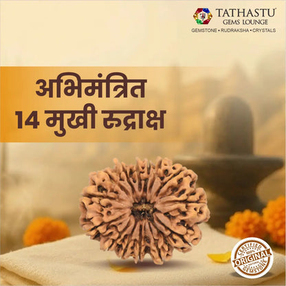 Abhimantrit Original 14 Mukhi Rudraksha bead at Tathastu Gems Lounge displayed with spiritual background and logo.