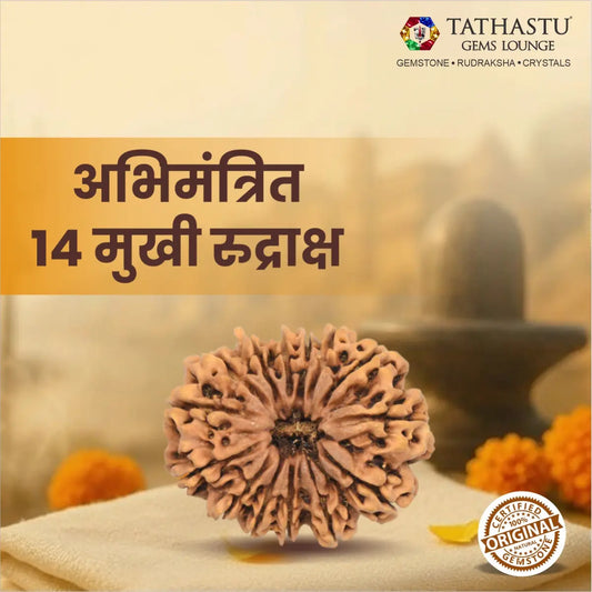 Abhimantrit Original 14 Mukhi Rudraksha bead at Tathastu Gems Lounge displayed with spiritual background and logo.