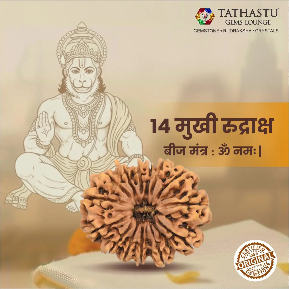 Abhimantrit Original 14 Mukhi Rudraksha bead at Tathastu Gems Lounge featuring Lord Hanuman and Lord Shiva (Deva Mani) illustration with mantra details.