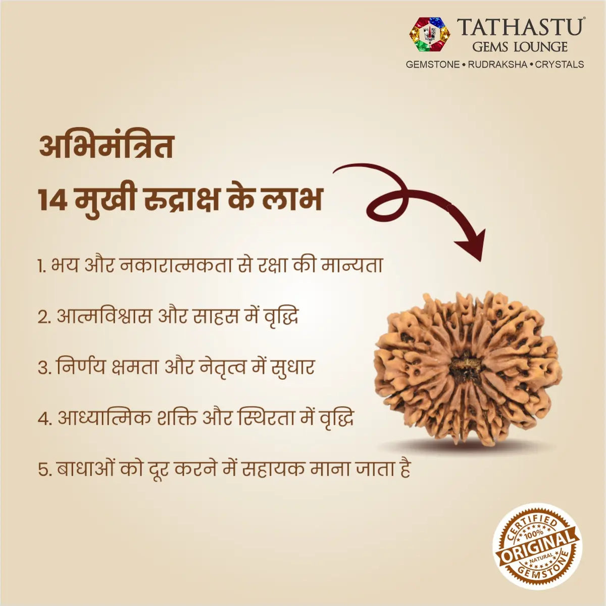 Abhimantrit Original 14 Mukhi Rudraksha bead at Tathastu Gems Lounge showing key benefits for intuition, third eye activation, and Saturn (Shani) relief in Hindi.