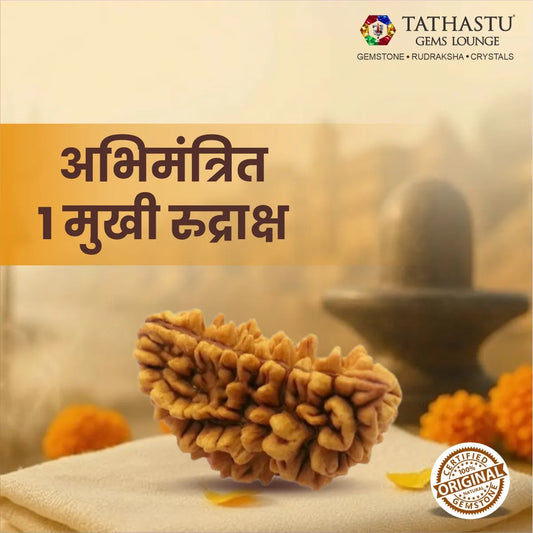 Natural 1 Mukhi Rudraksha bead certified original Nepali Ek Mukhi Rudraksha for spiritual growth