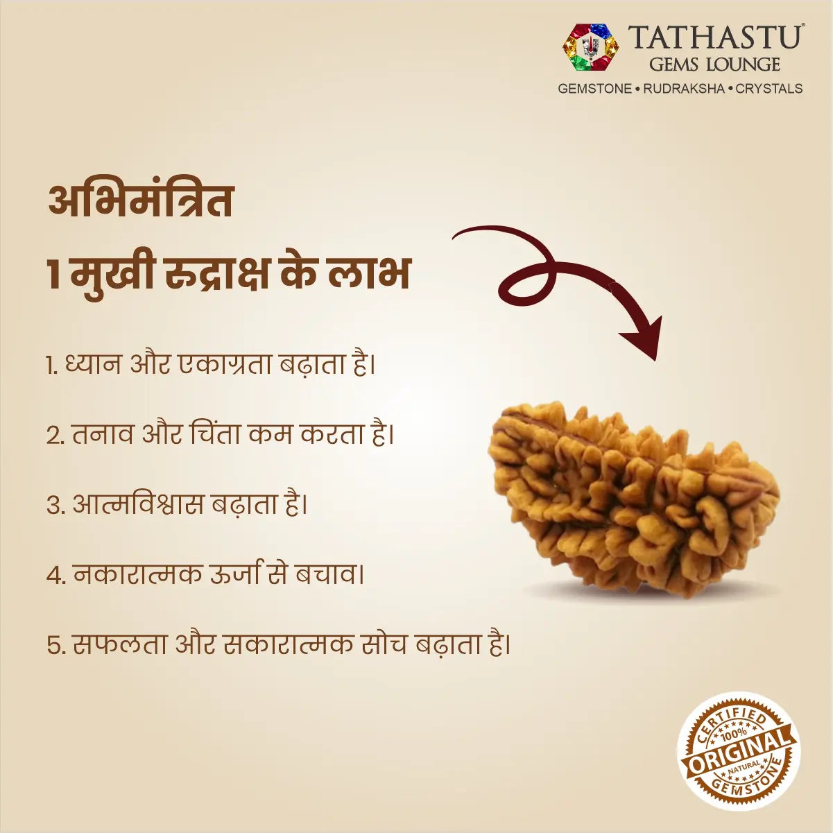 Original 1 Mukhi Rudraksha bead for meditation spiritual awakening and Lord Shiva blessings