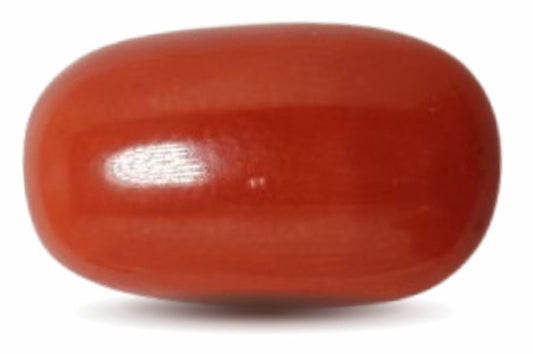 Japanese Red Coral (Moonga) 8.26 Carats – 100% Original Mars (Mangal) Gemstone for Strength & Courage