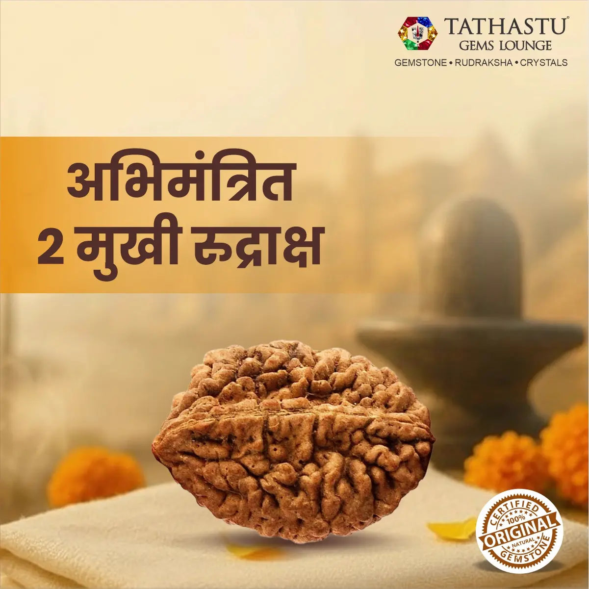 Natural 2 Mukhi Rudraksha certified original Nepali bead for harmony, relationships and Lord Shiva blessings