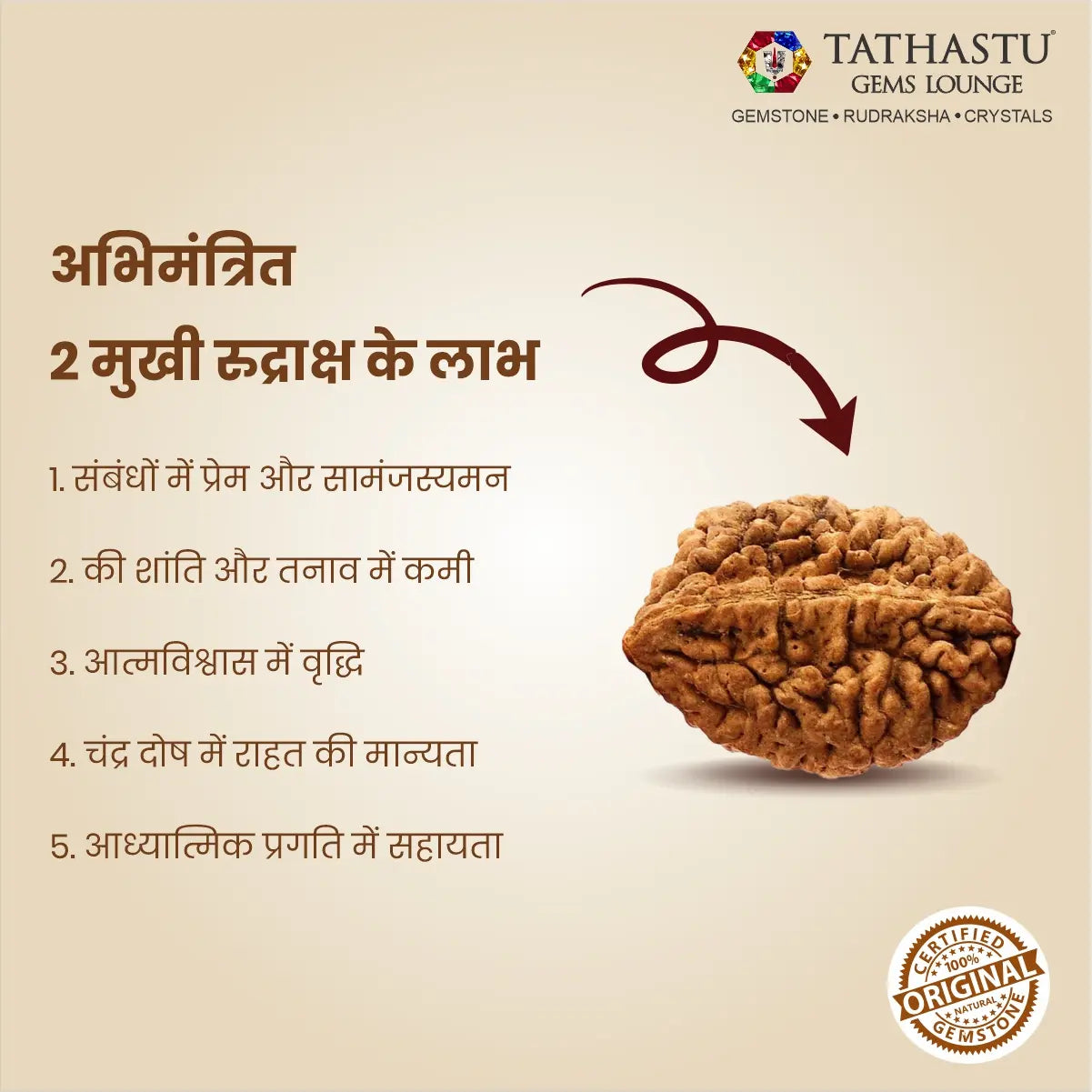 Premium natural 2 Mukhi Rudraksha bead certified for meditation, inner peace and positive energy