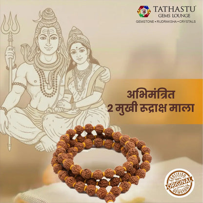 Original 2 Mukhi Rudraksha Mala associated with Lord Shiva and Parvati for relationship stability - Tathastu Gems