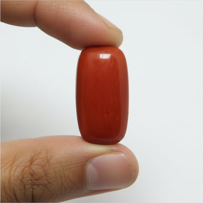 Japanese Red Coral (Moonga) 7.64 Carats – 100% Original Mars (Mangal) Gemstone for Strength & Courage