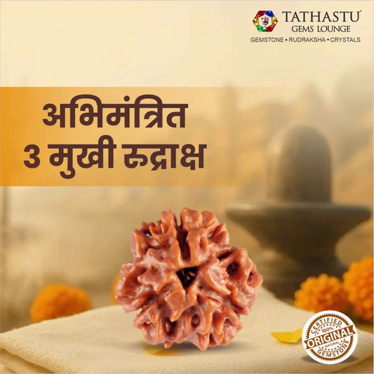 Natural 3 Mukhi Rudraksha certified original Nepali bead for confidence, courage and spiritual growth