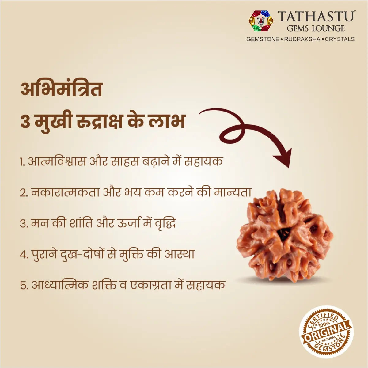 Original Teen Mukhi Rudraksha bead with lab certification for meditation, success and inner strength