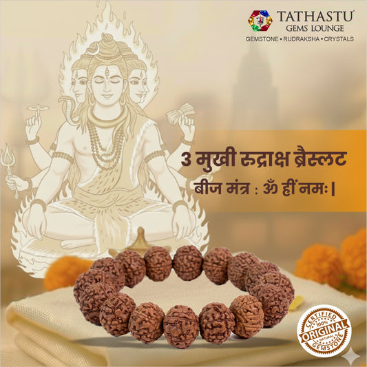 Original 3 Mukhi Rudraksha Braclet | Abhimantrit