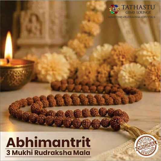 Original 3 Mukhi Rudraksha Mala | Abhimantrit
