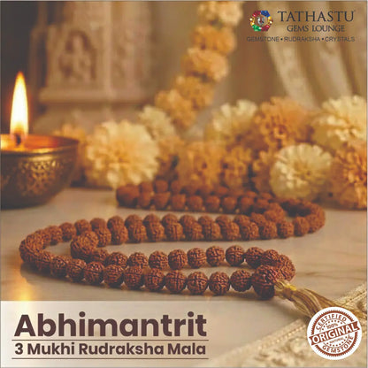 Abhimantrit original 3 Mukhi Rudraksha Mala for self-confidence, energy, and Agni Dev blessings - Tathastu Gems Lounge
