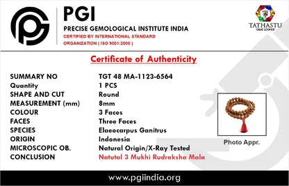 Gemology lab test certificate of authenticity for original 3 Mukhi Rudraksha Mala - Tathastu Gems Lounge