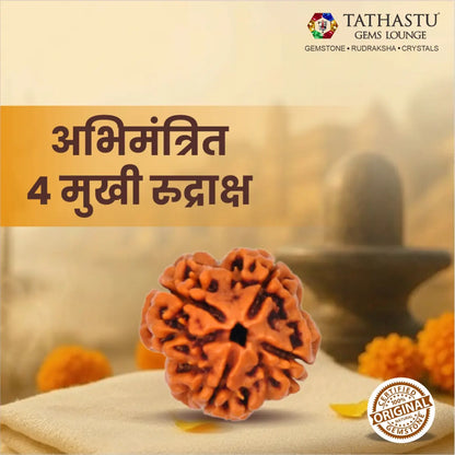 Natural 4 Mukhi Rudraksha certified original Nepali bead for wisdom, knowledge and Lord Brahma blessings
