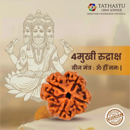 Original Char Mukhi Rudraksha bead with lab certification for students, professionals and meditation